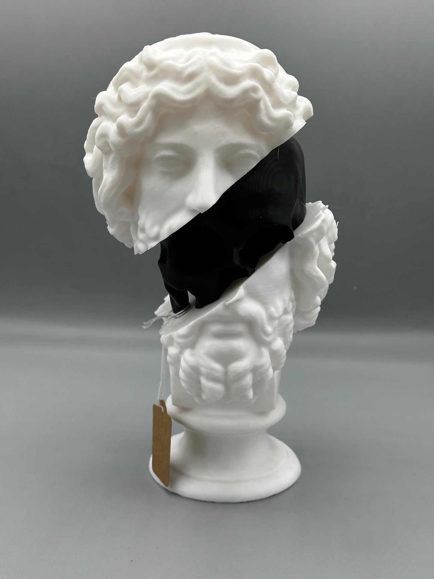Split Zeus skull bust