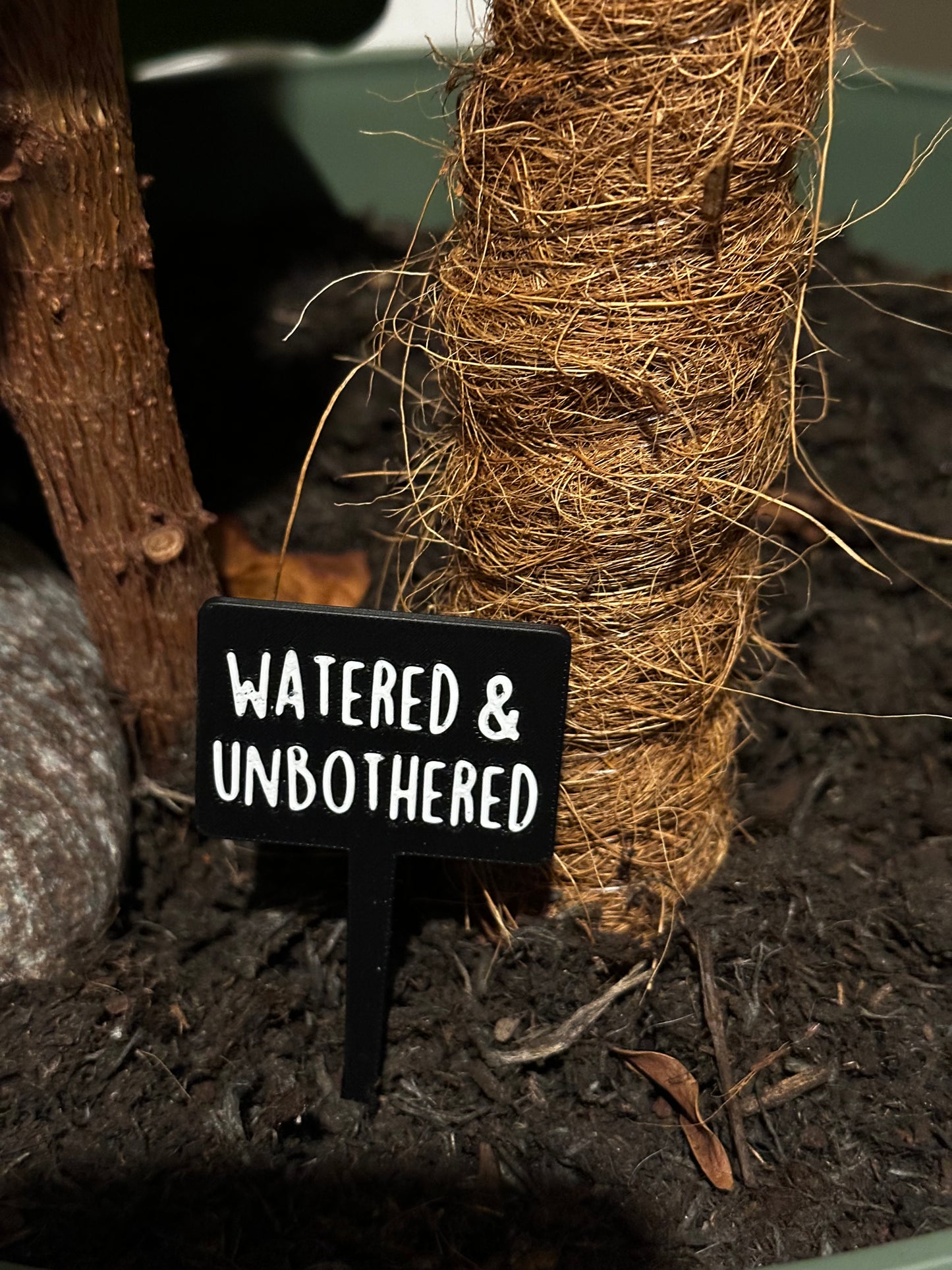 Funny plant pun signs