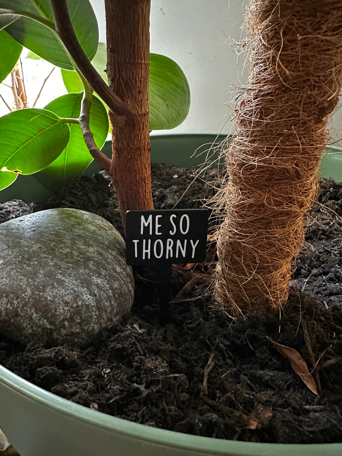 Funny plant pun signs