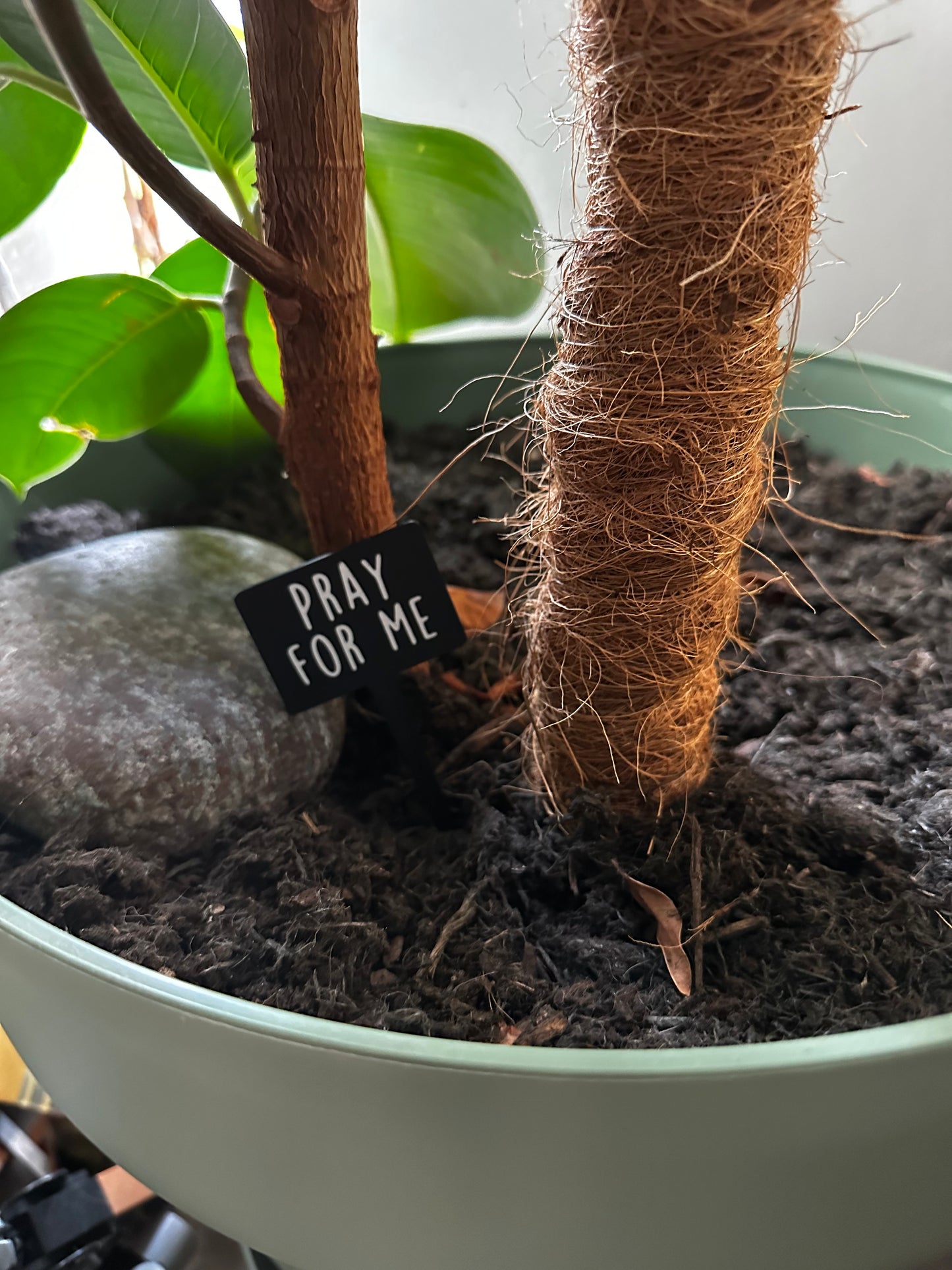 Funny plant pun signs