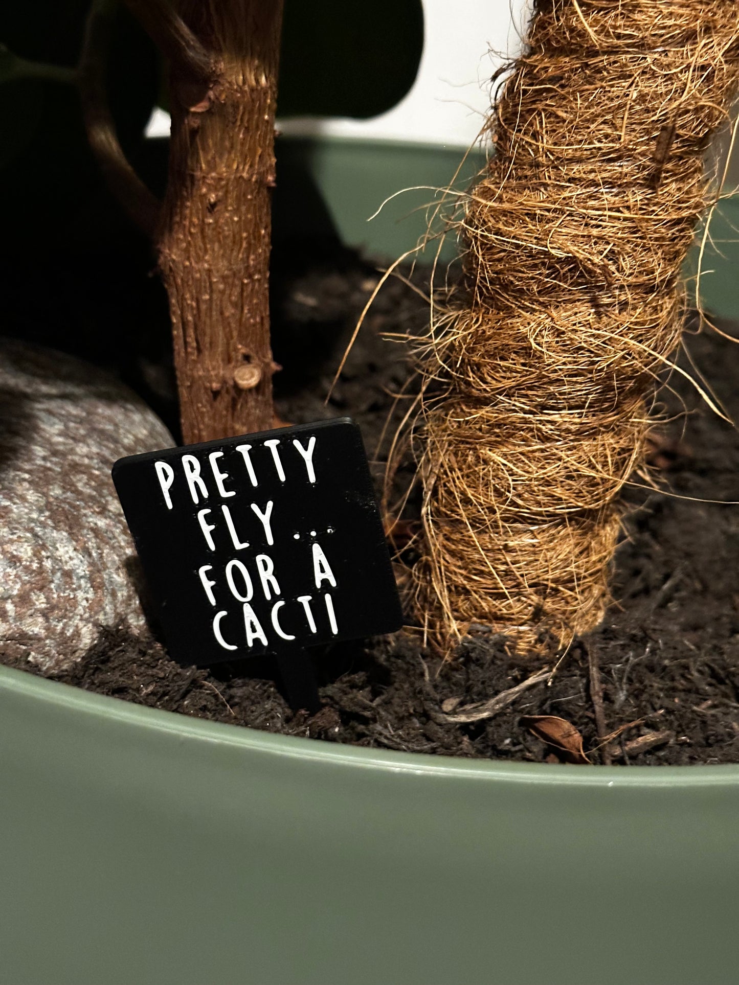Funny plant pun signs
