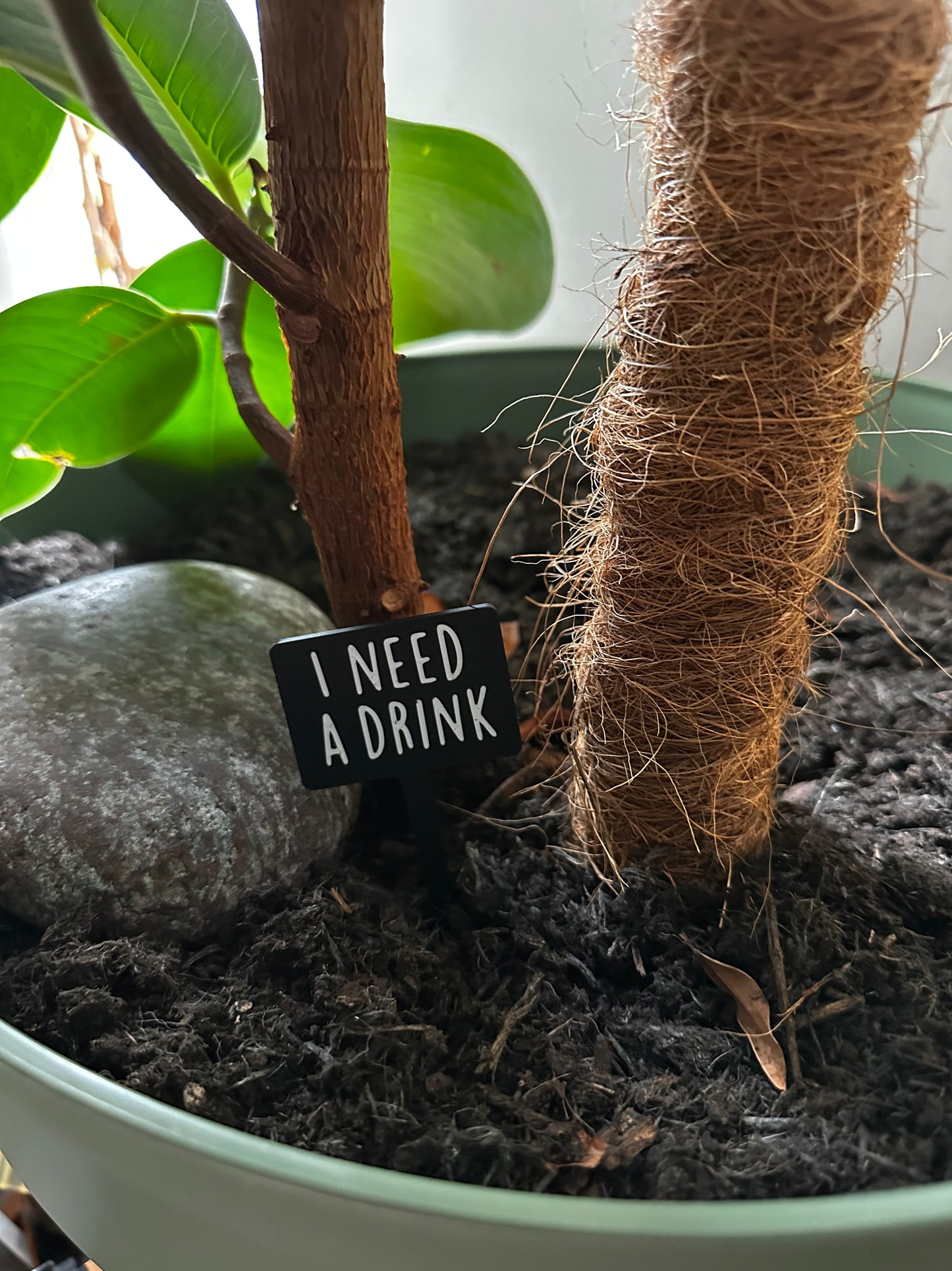 Funny plant pun signs