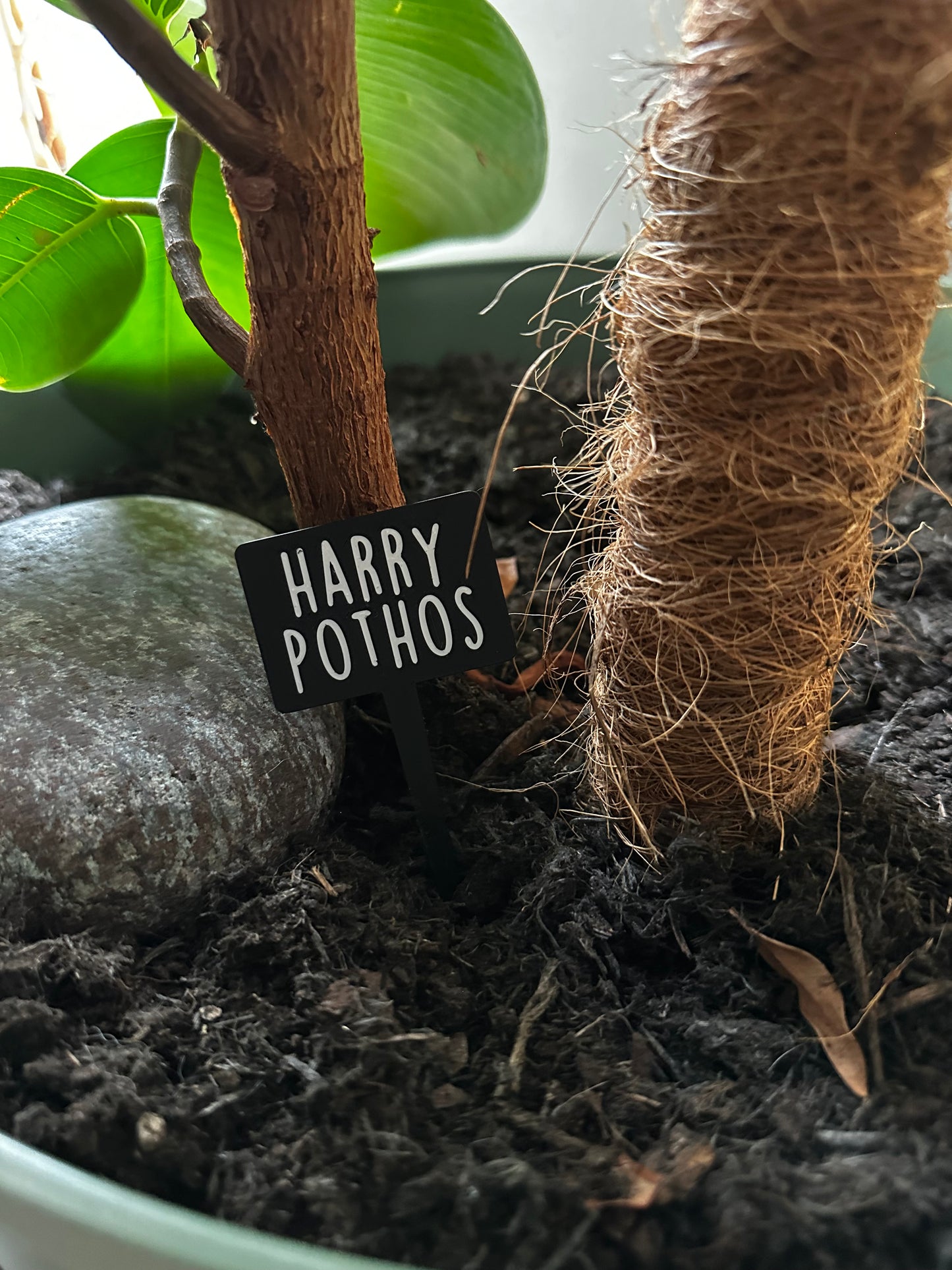 Funny plant pun signs