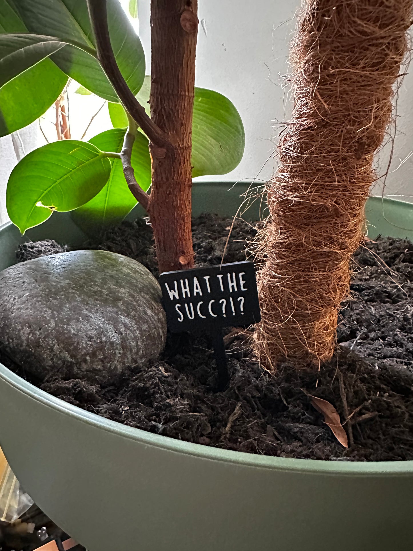 Funny plant pun signs
