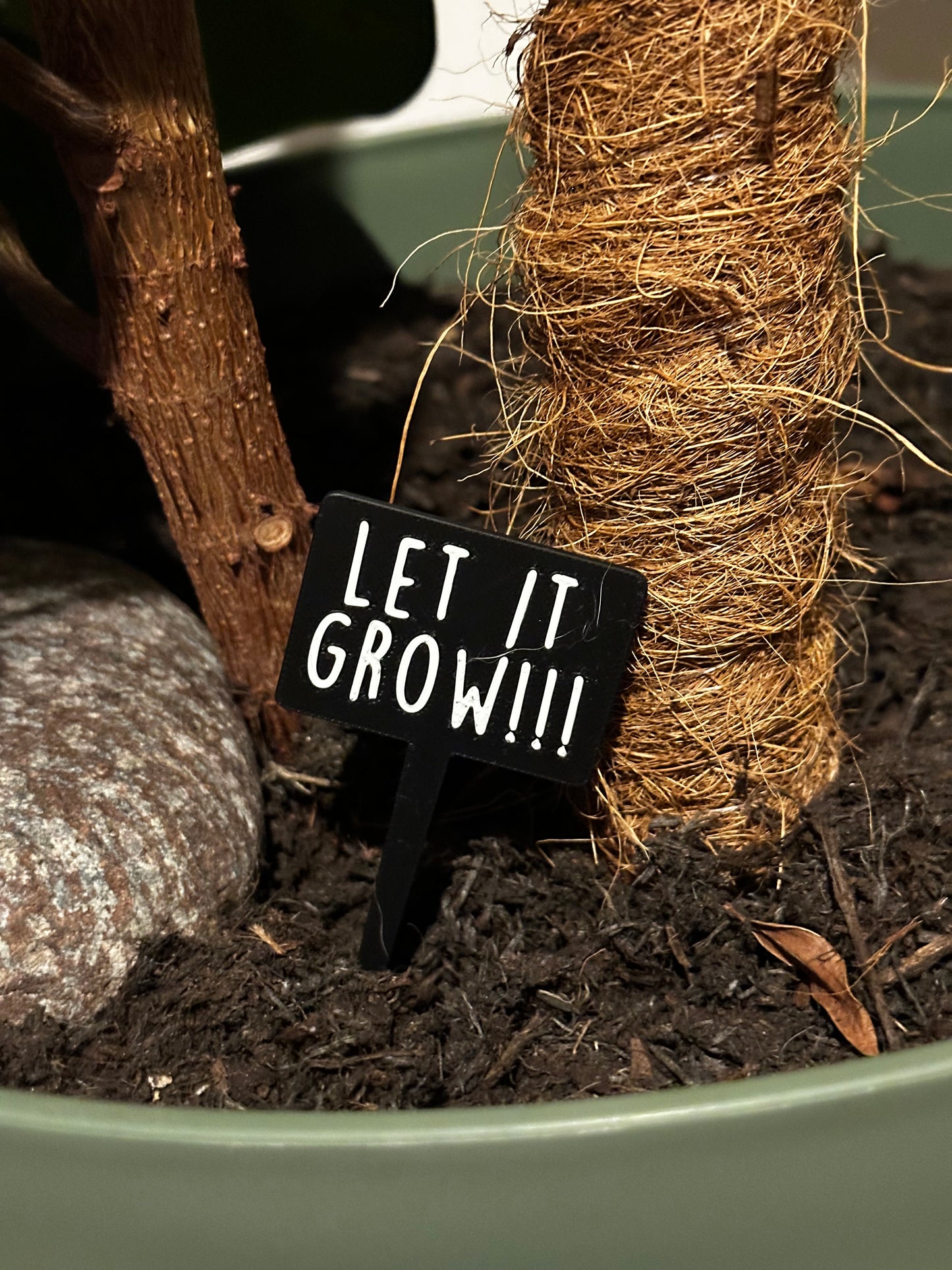 Funny plant pun signs