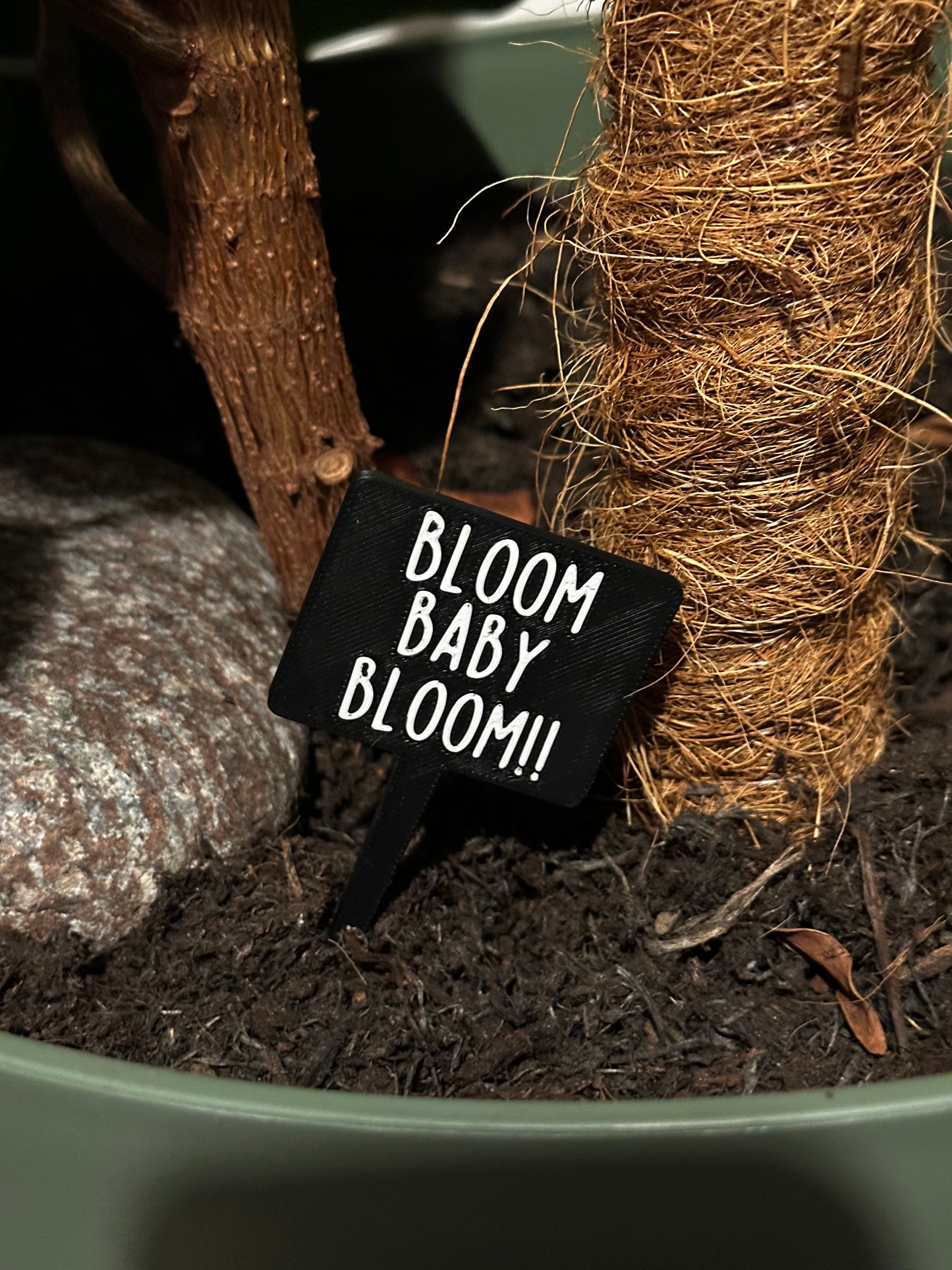 Funny plant pun signs