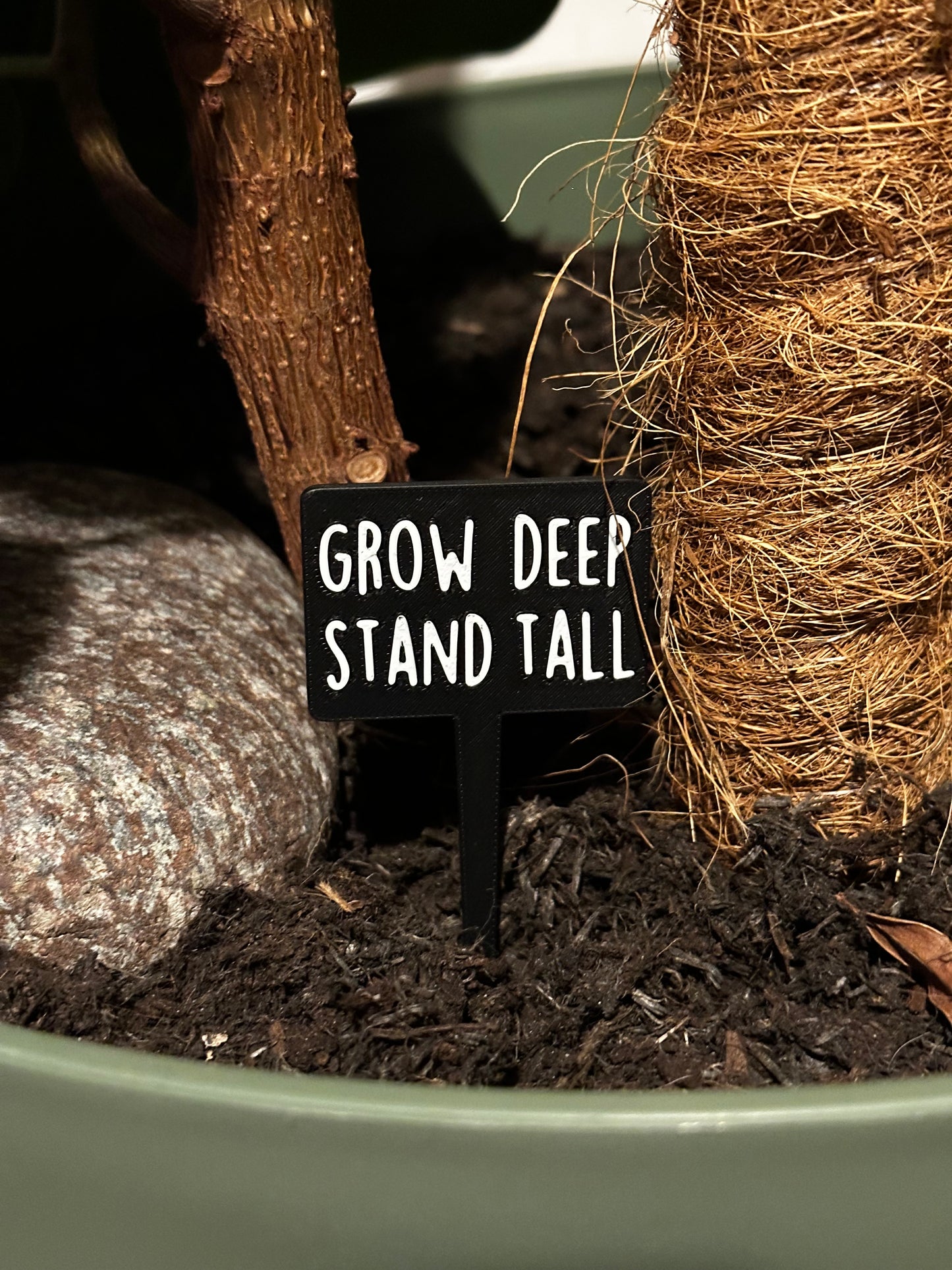 Funny plant pun signs