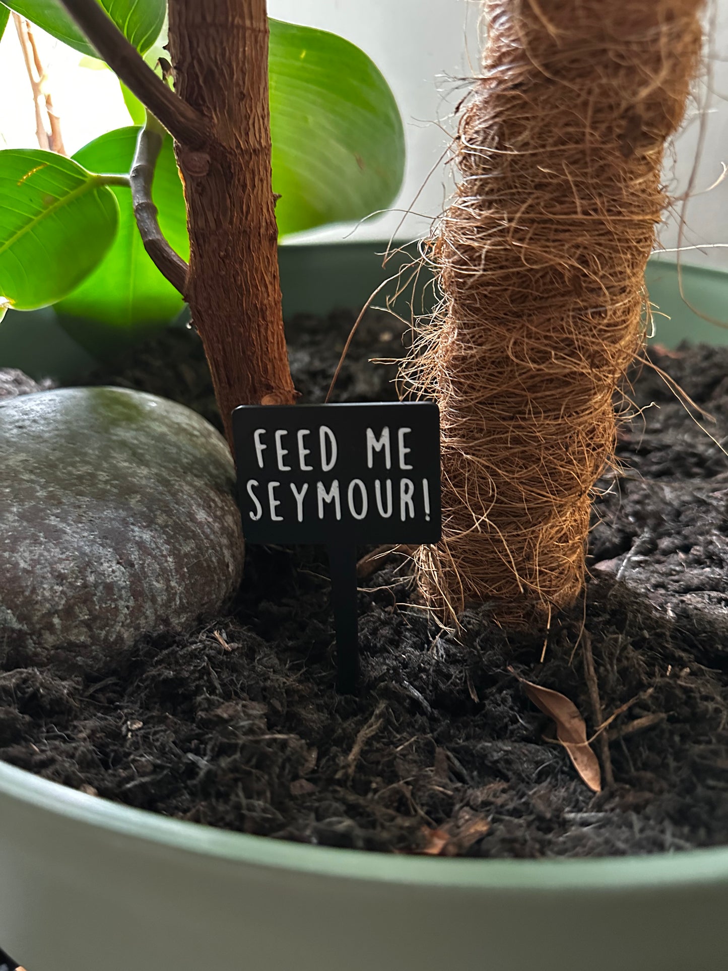 Funny plant pun signs