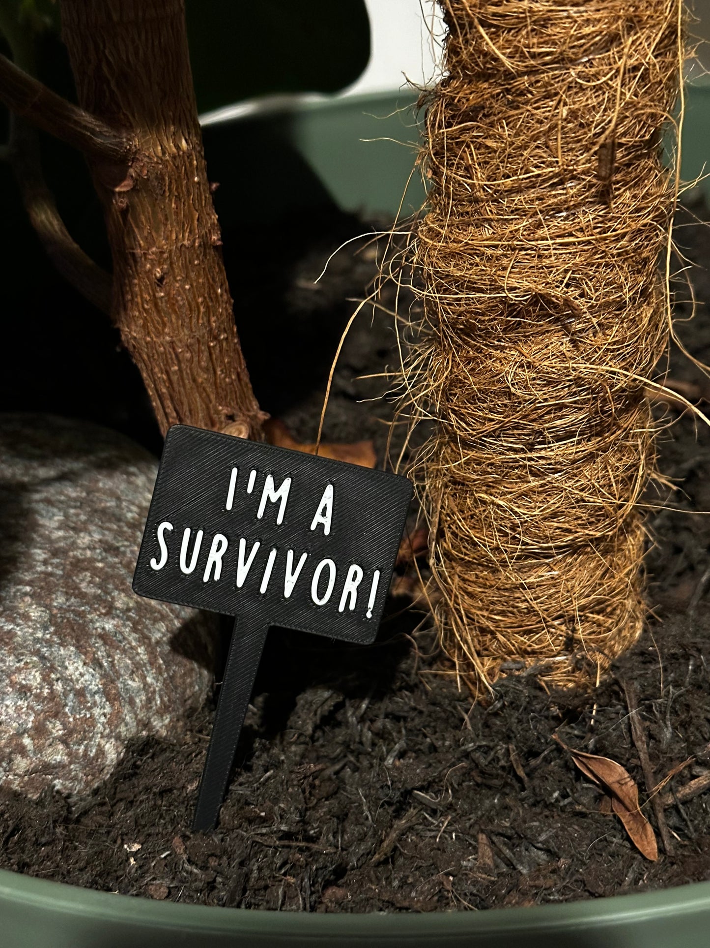 Funny plant pun signs