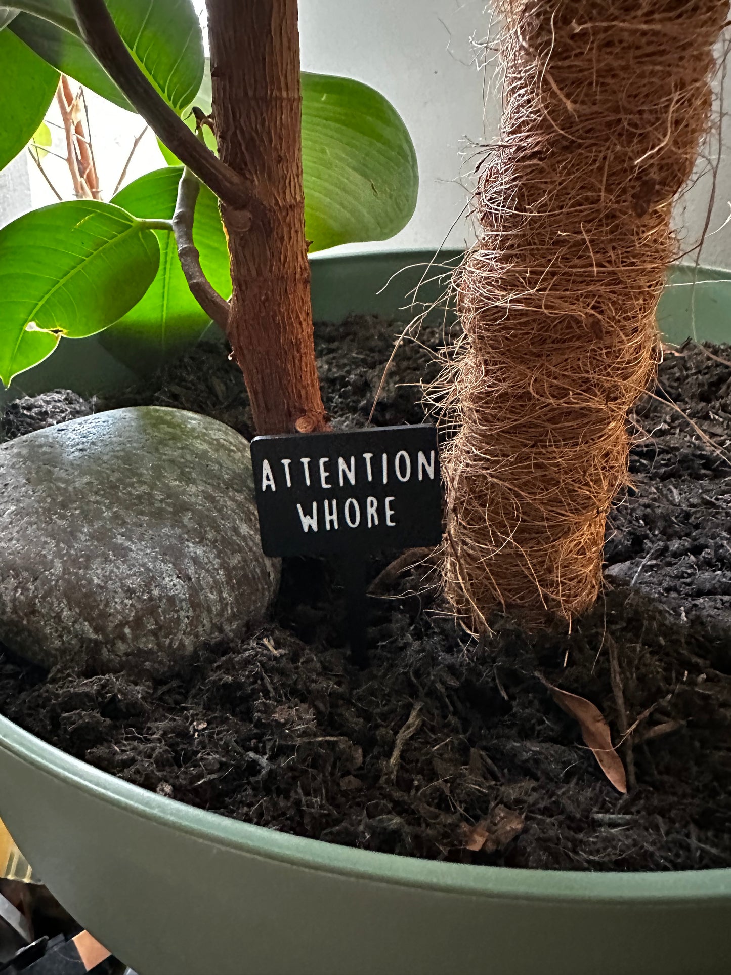 Funny plant pun signs