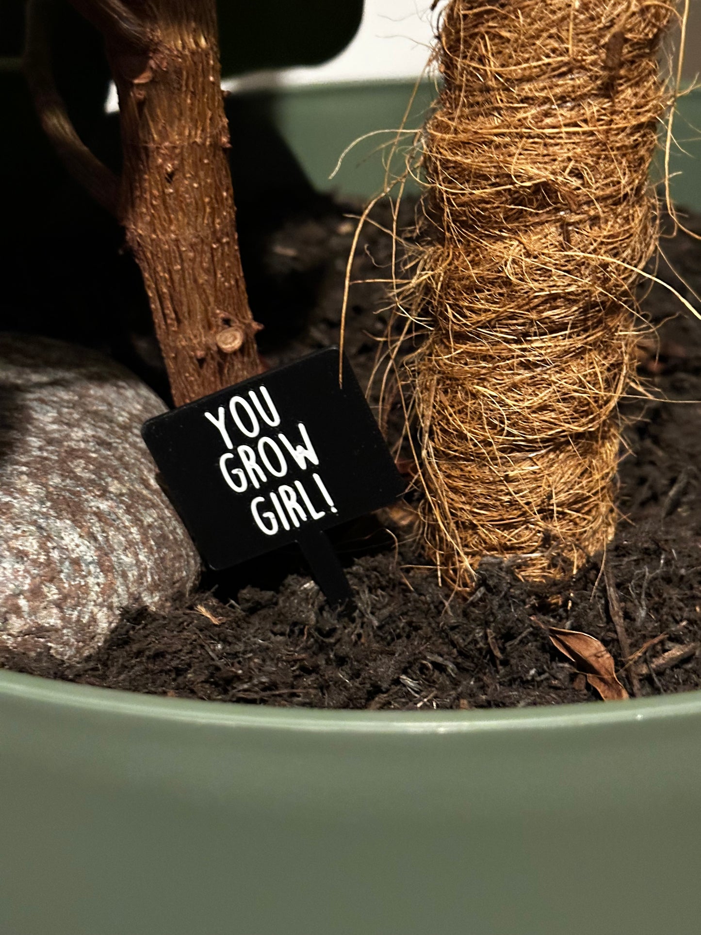 Funny plant pun signs