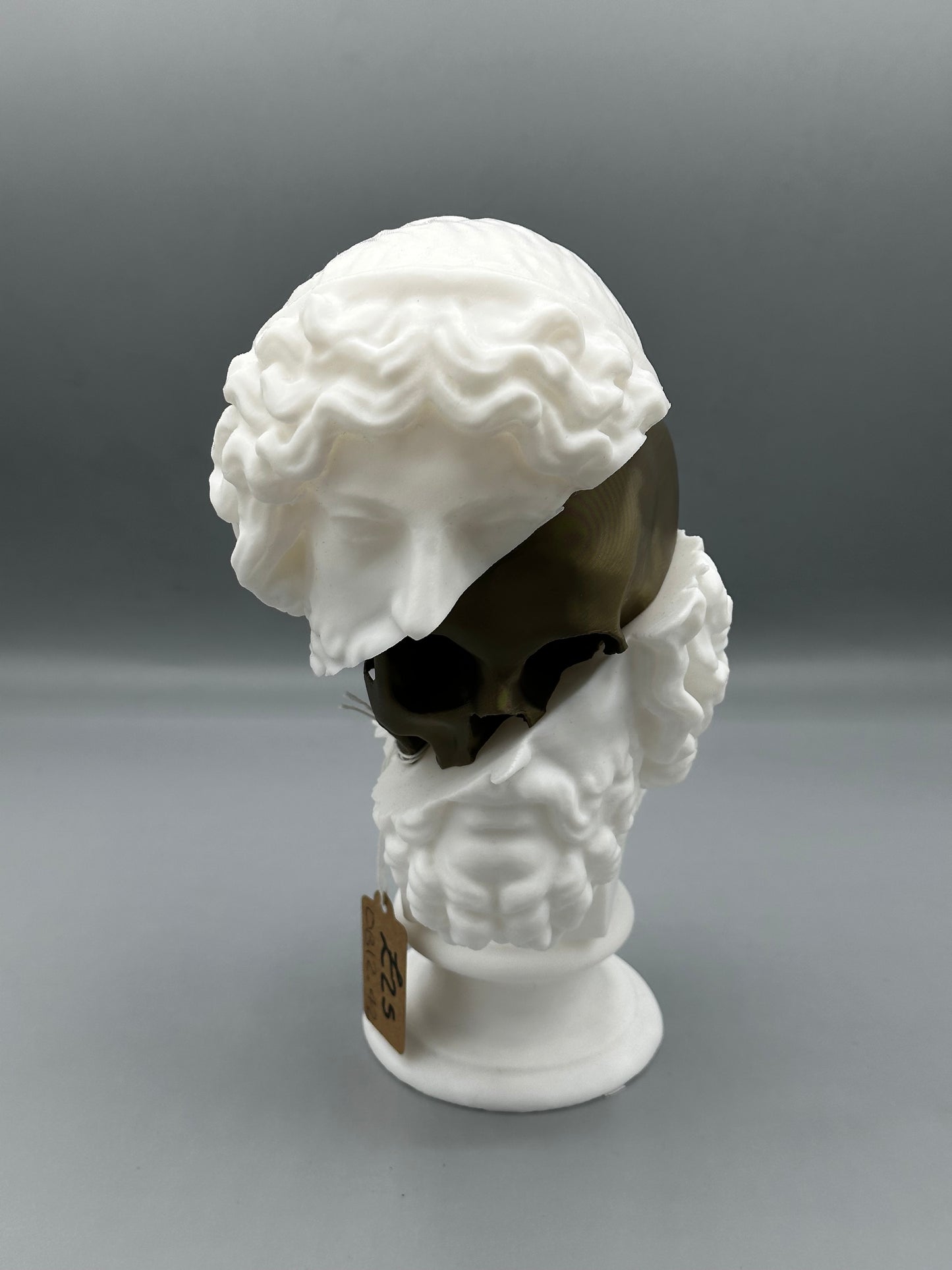 Split Zeus skull bust