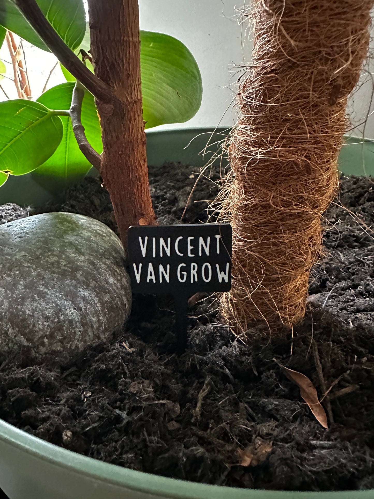 Funny plant pun signs