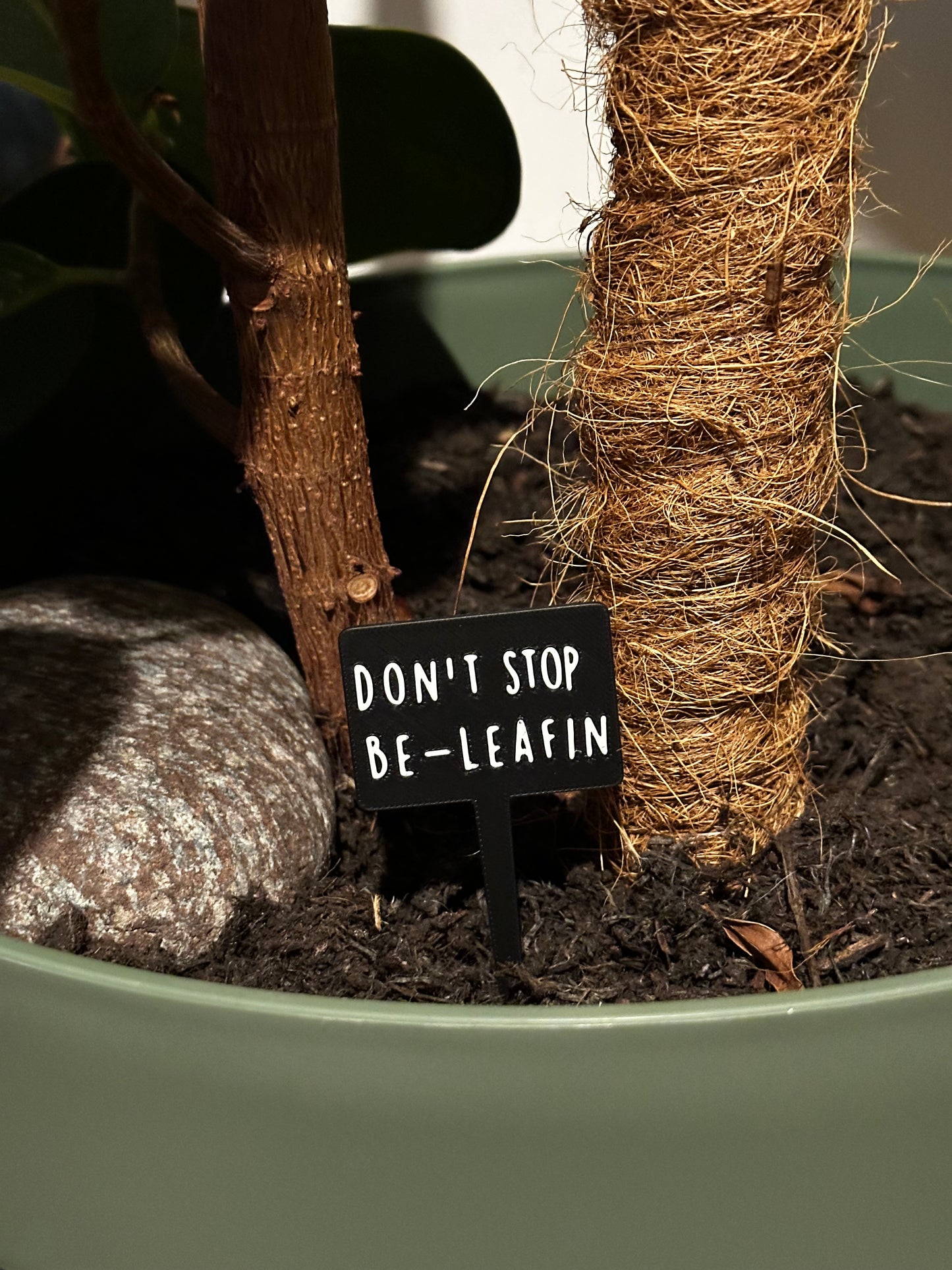Funny plant pun signs