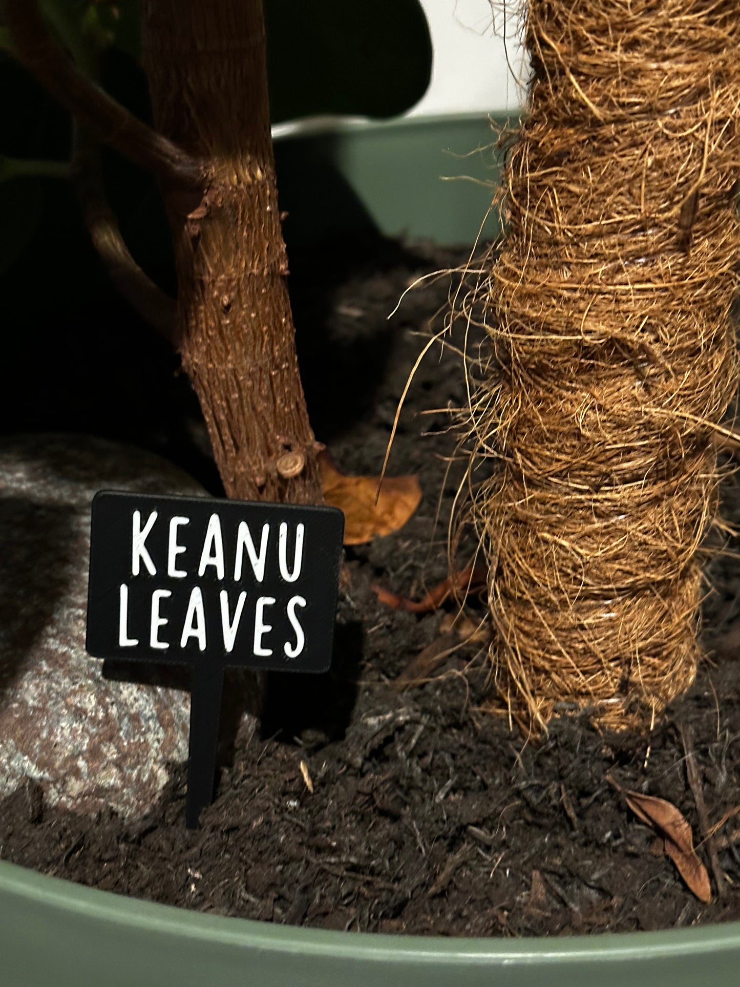 Funny plant pun signs