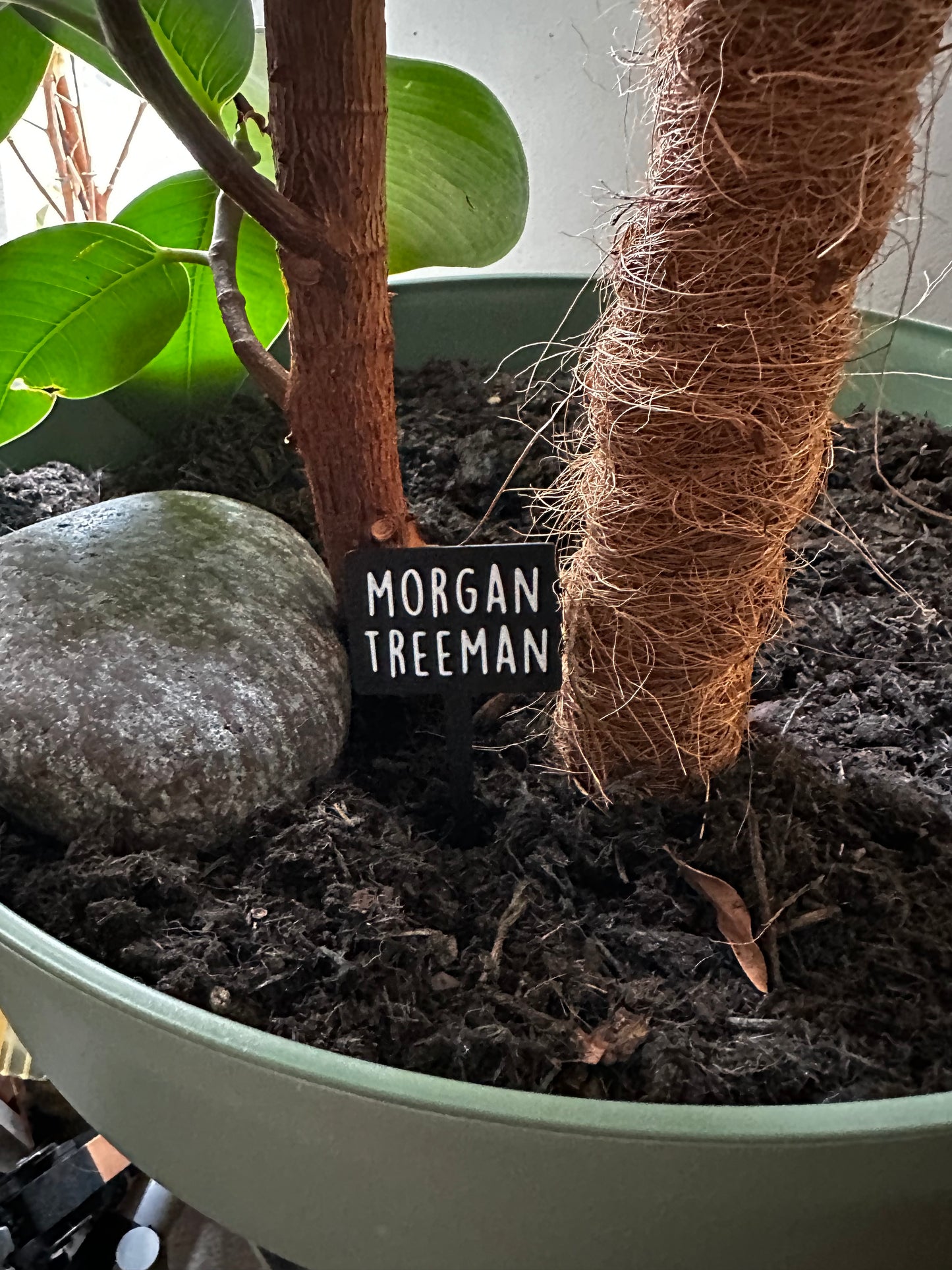 Funny plant pun signs