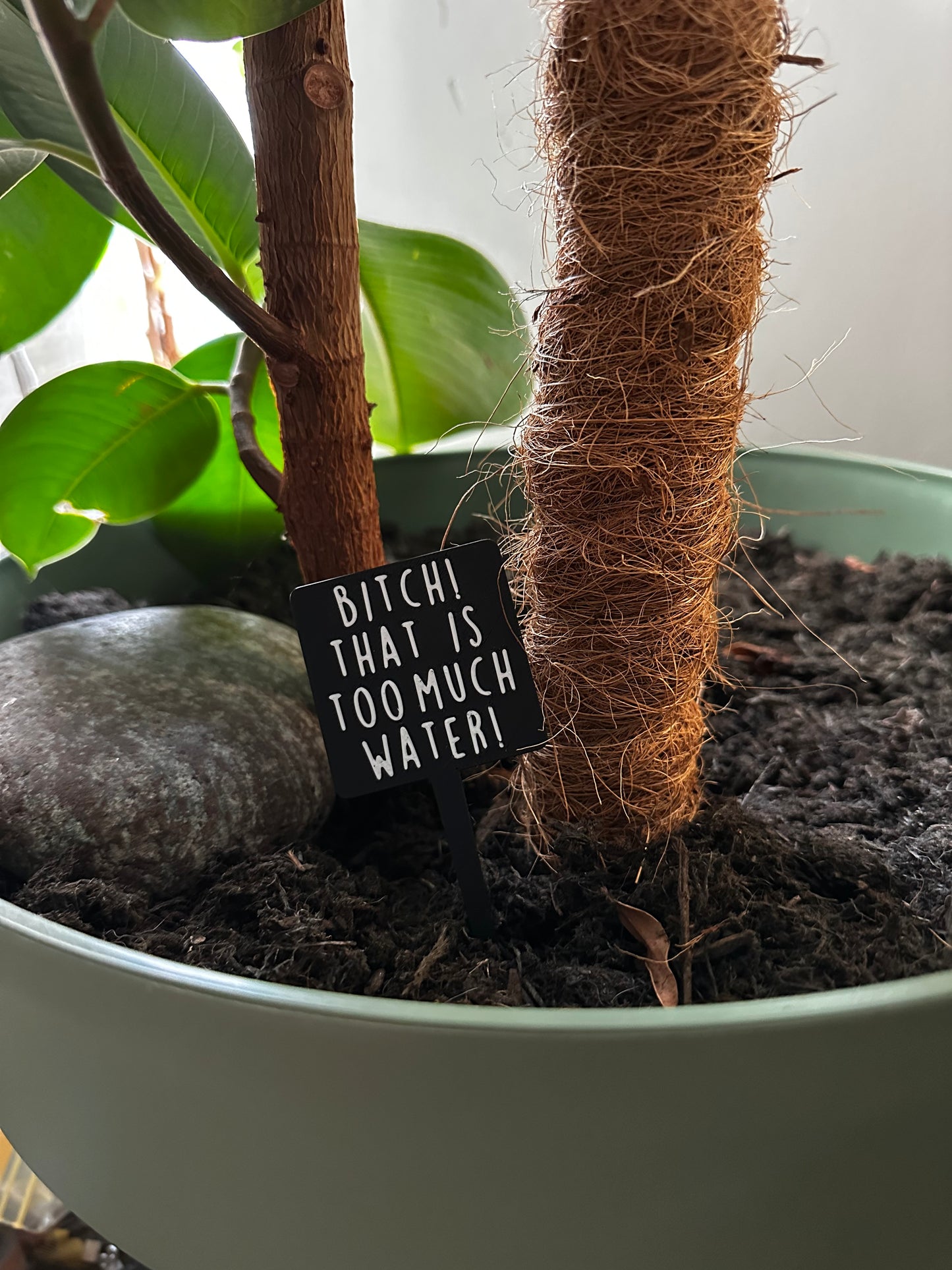 Funny plant pun signs