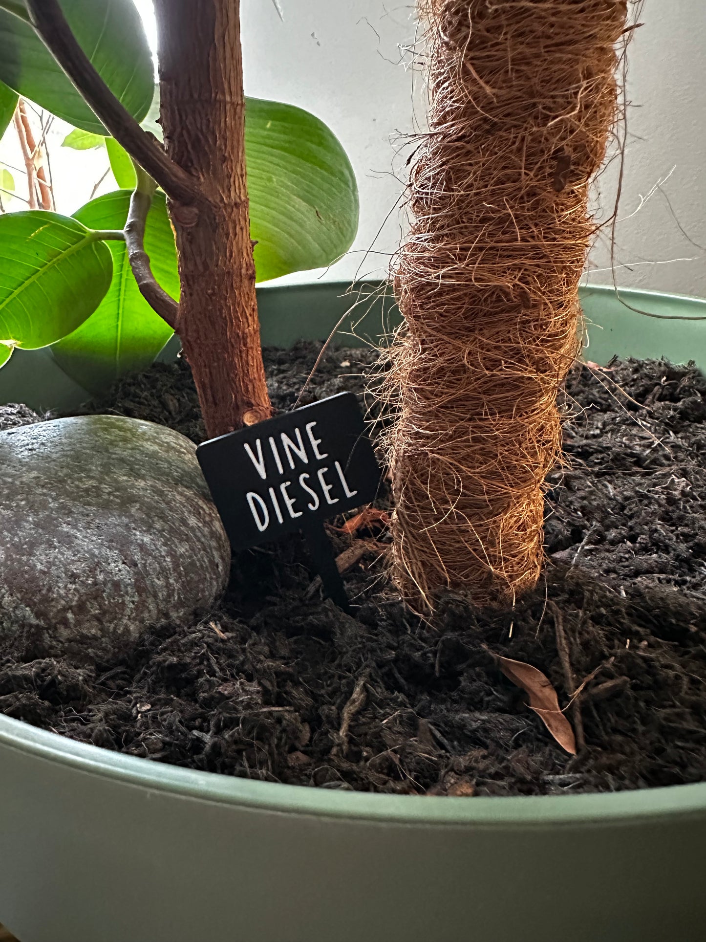 Funny plant pun signs