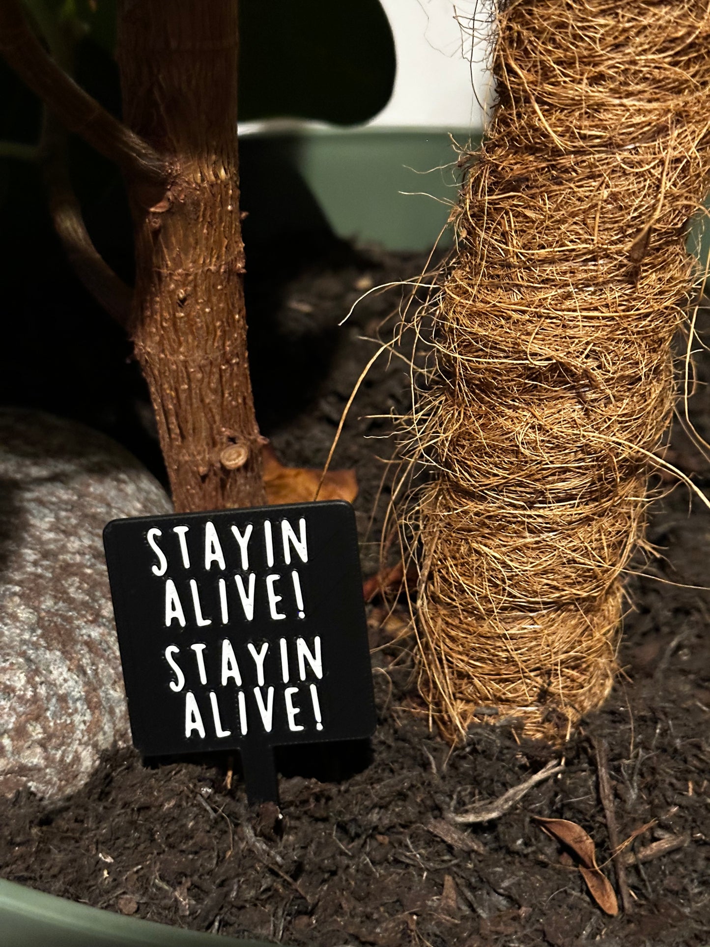 Funny plant pun signs