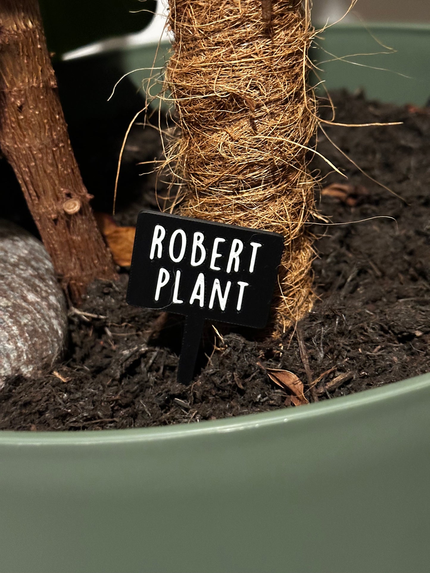 Funny plant pun signs