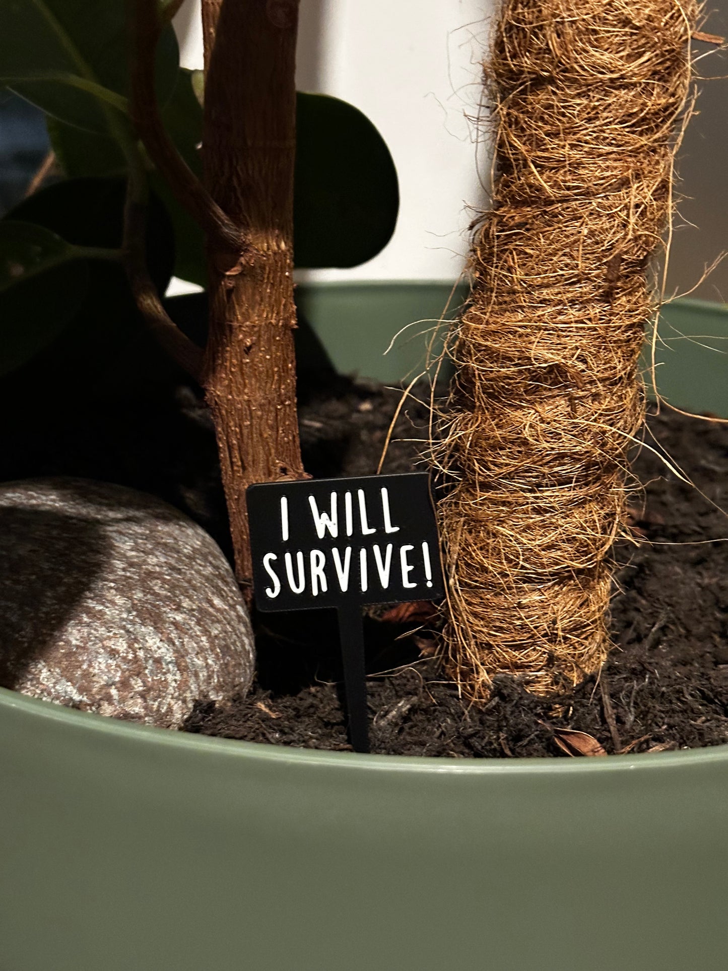 Funny plant pun signs
