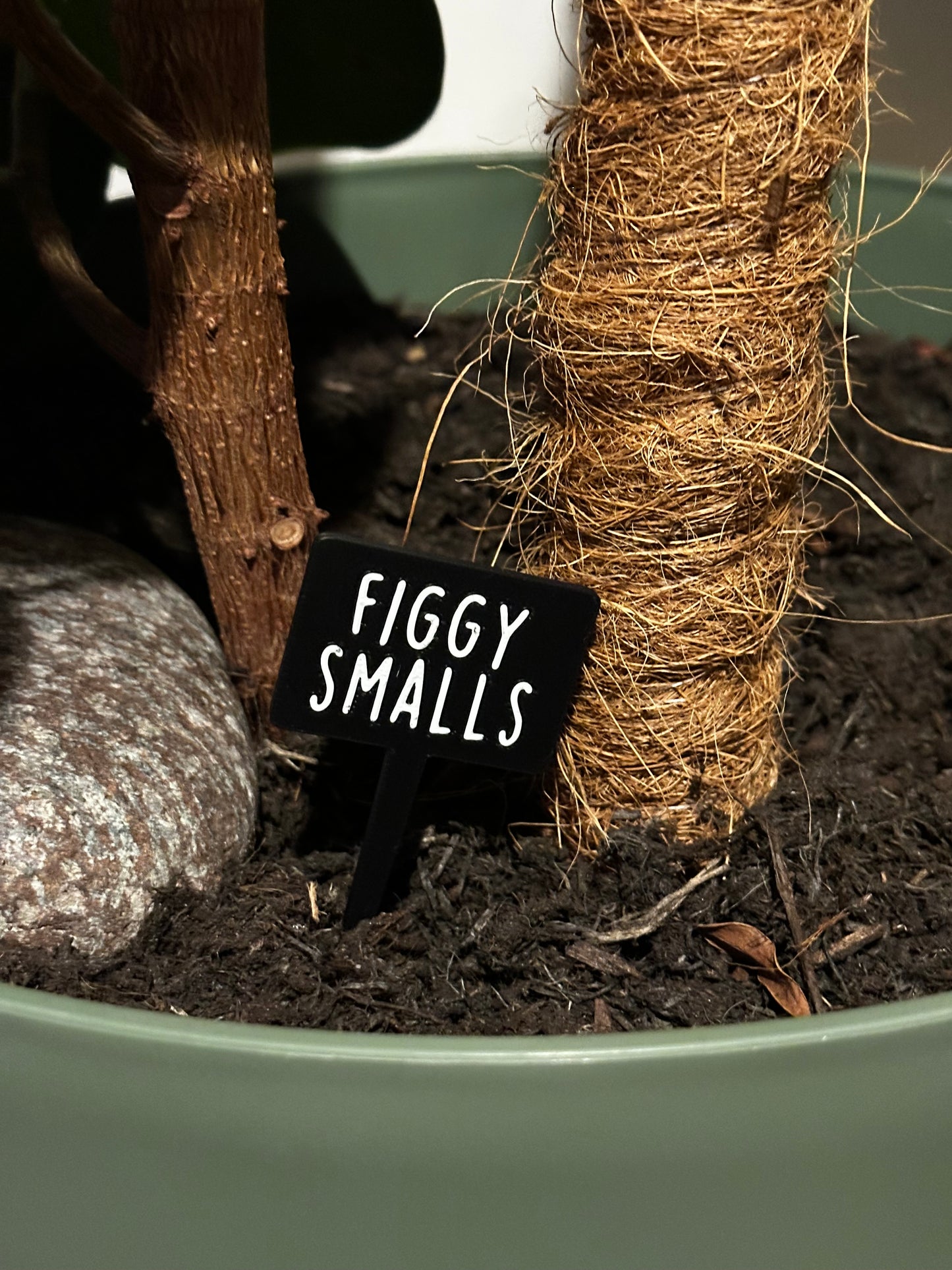 Funny plant pun signs