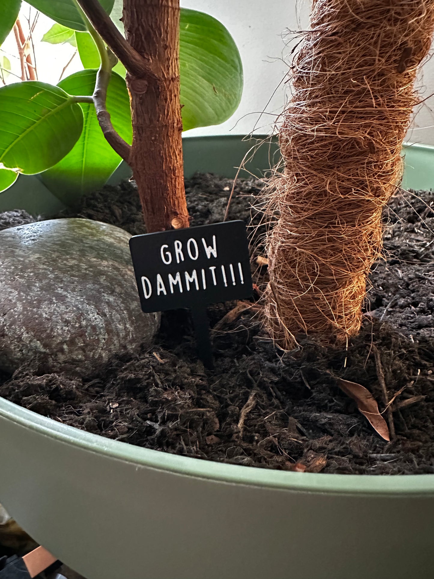 Funny plant pun signs