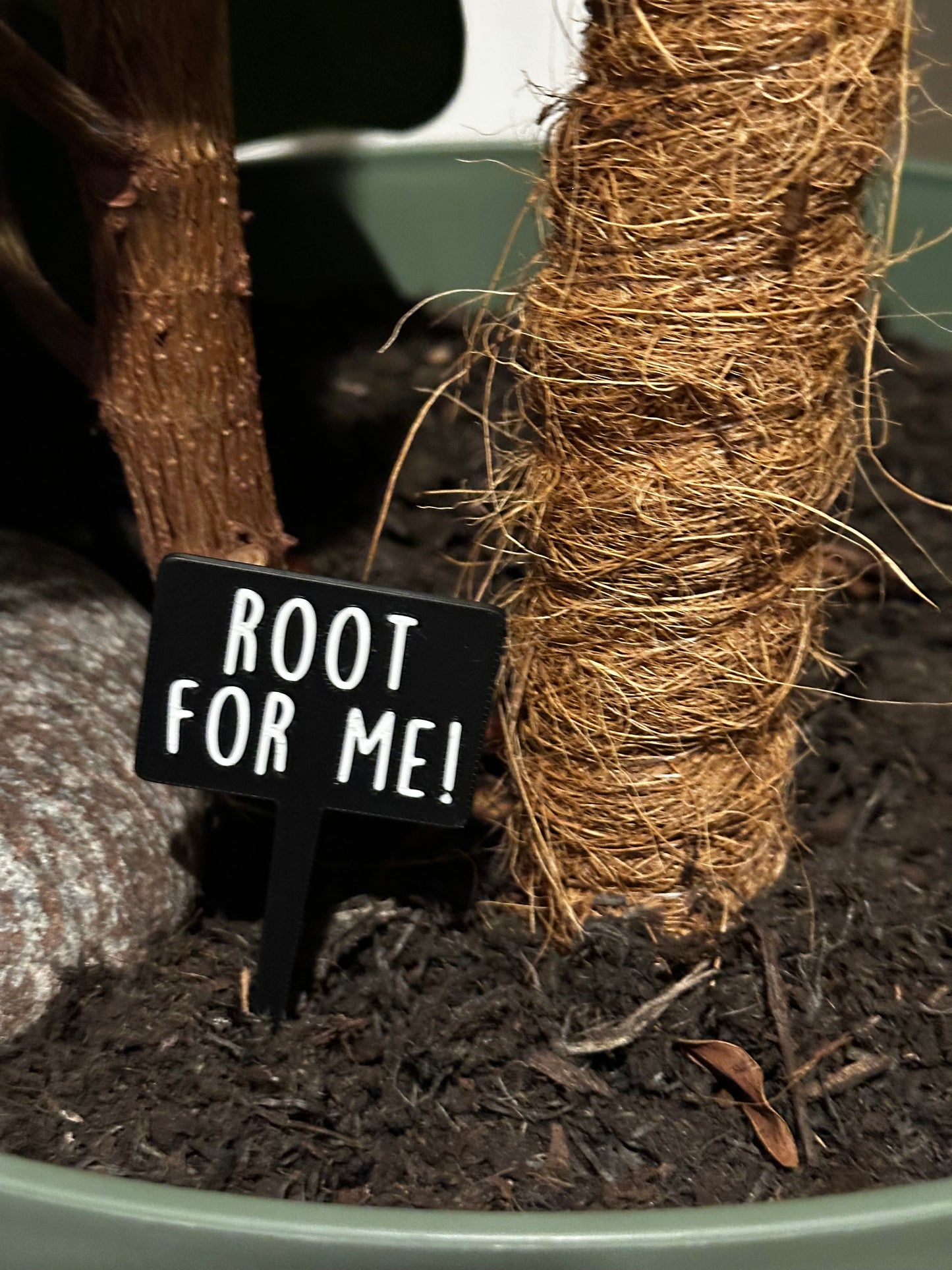 Funny plant pun signs