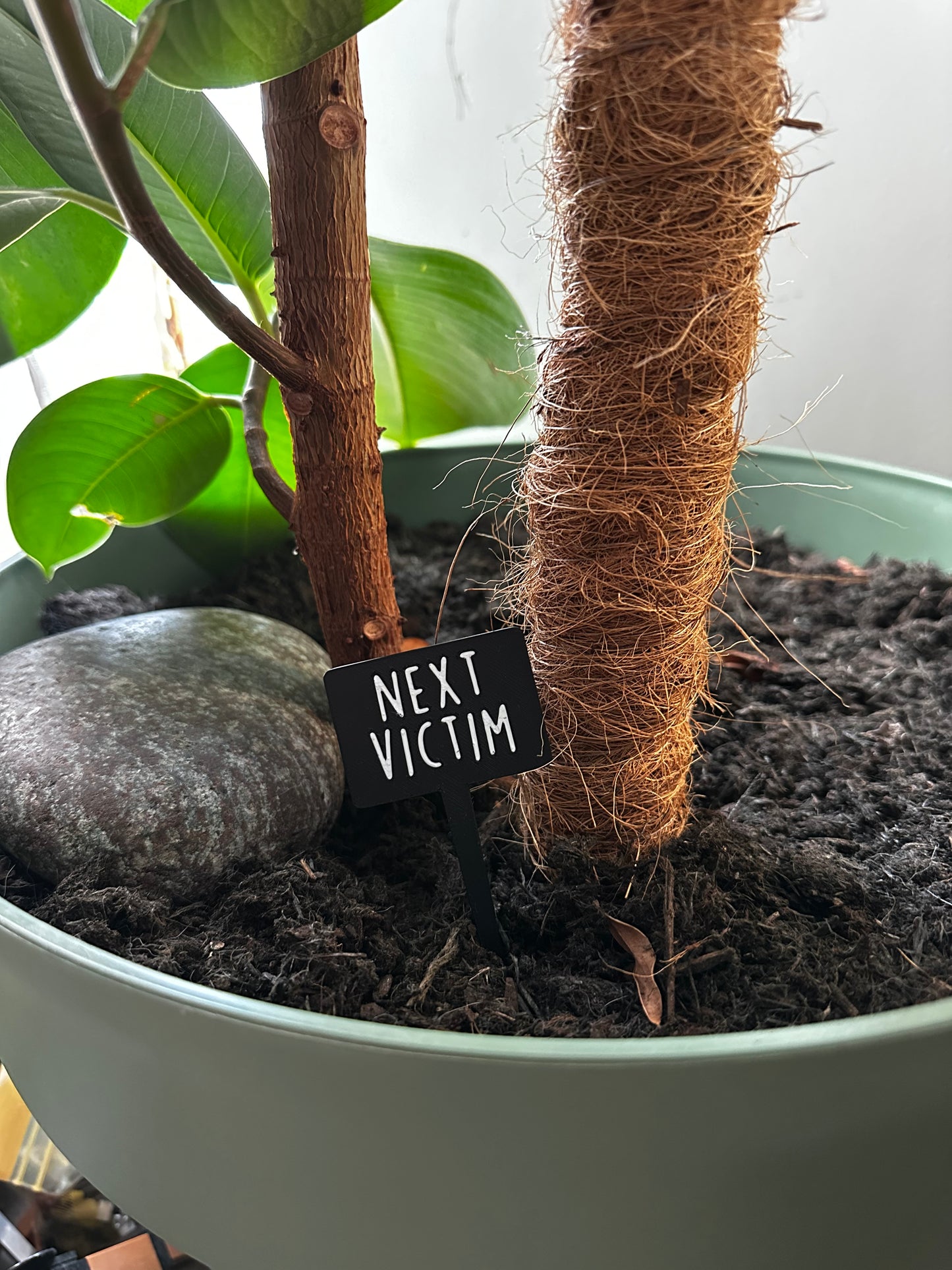 Funny plant pun signs