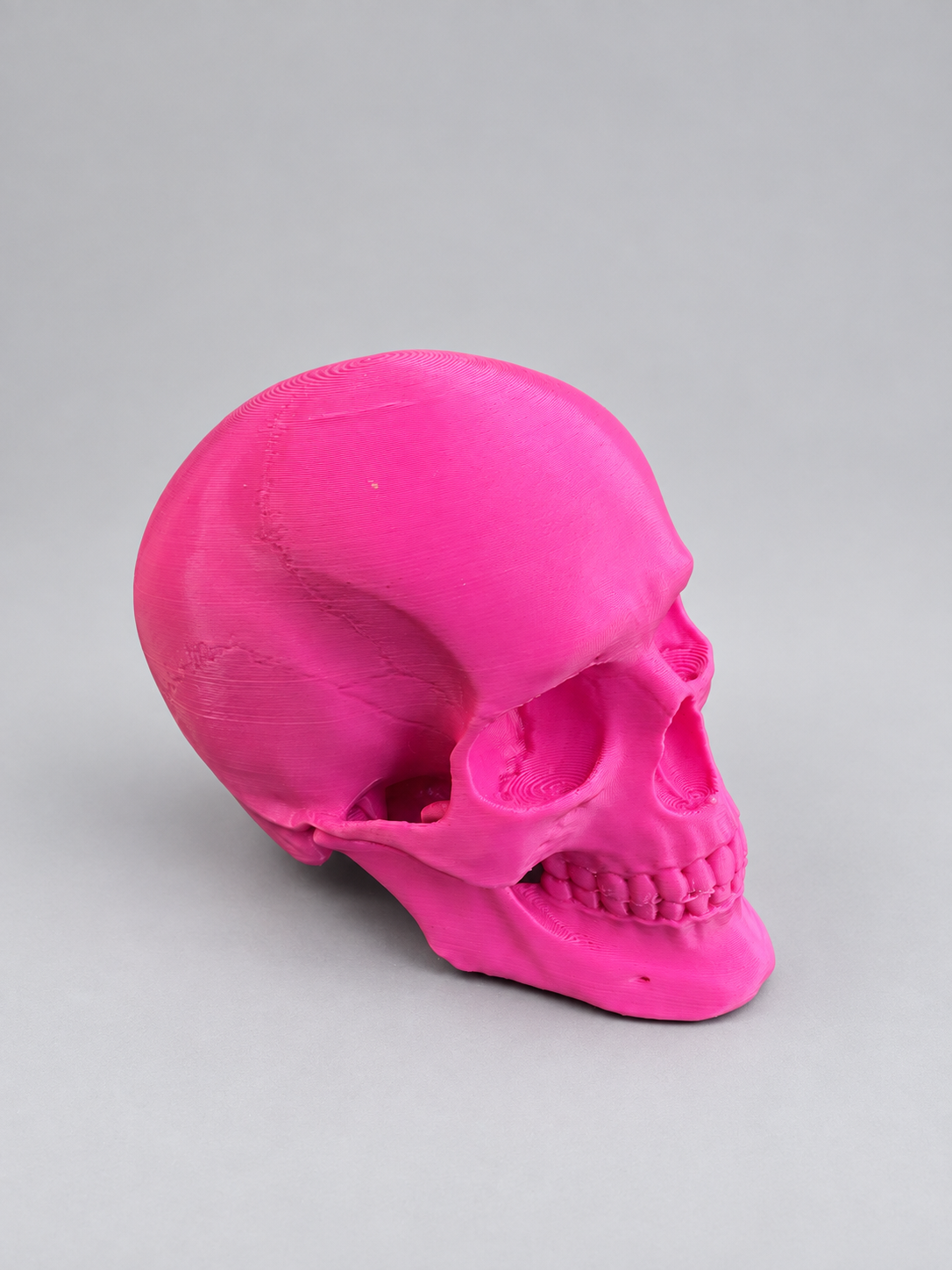 Anatomical skull ornament in Hot Pink on a soft grey studio background
