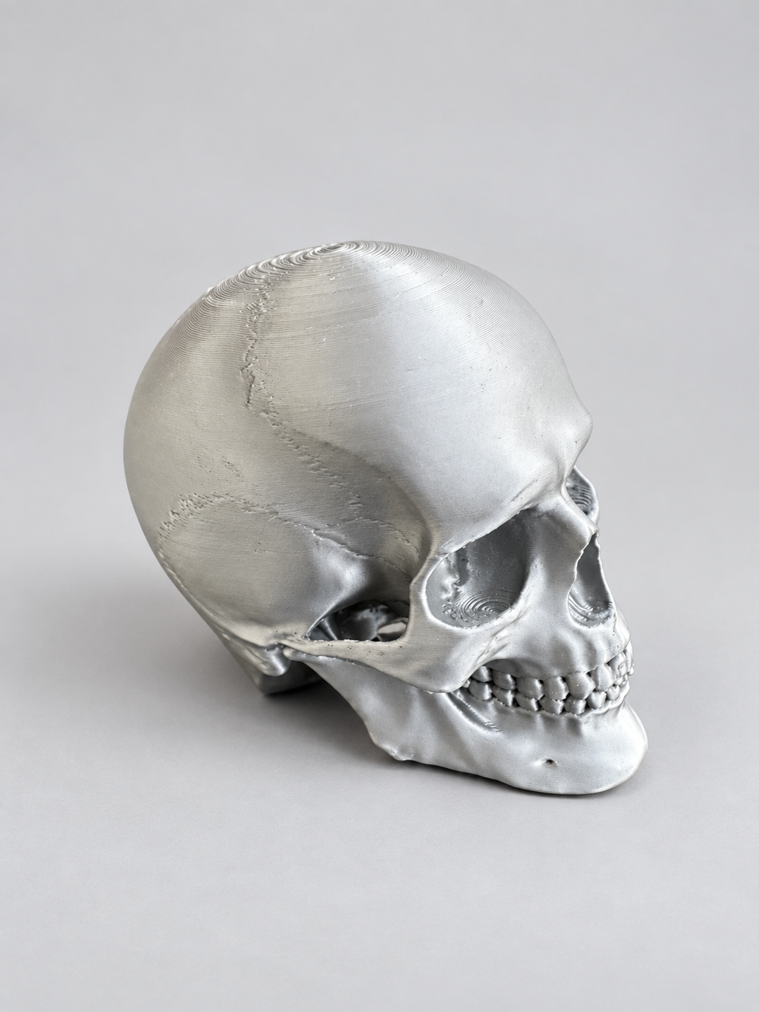 Anatomical skull ornament in Silver on a soft grey studio background
