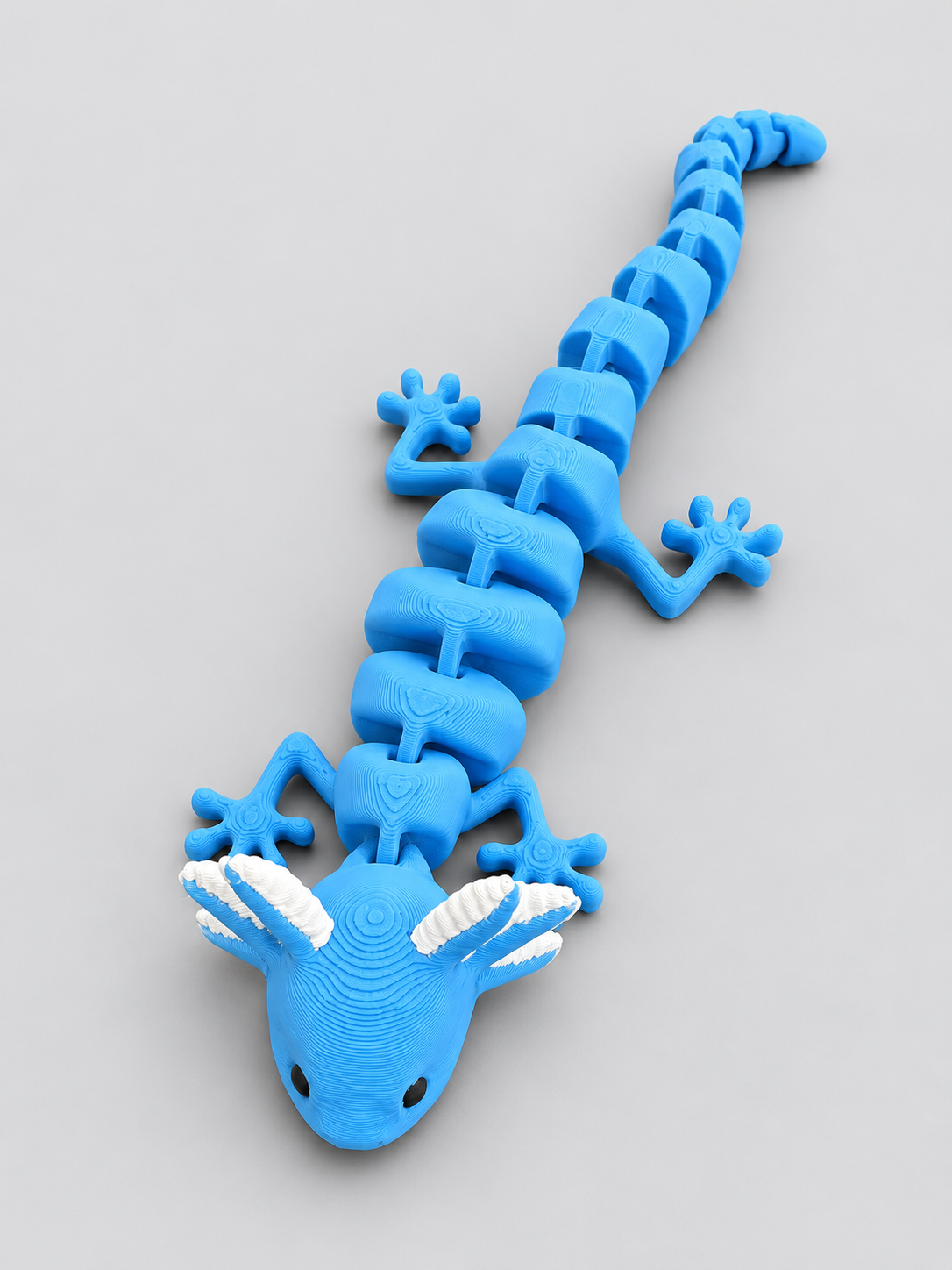 Blue articulated axolotl front view