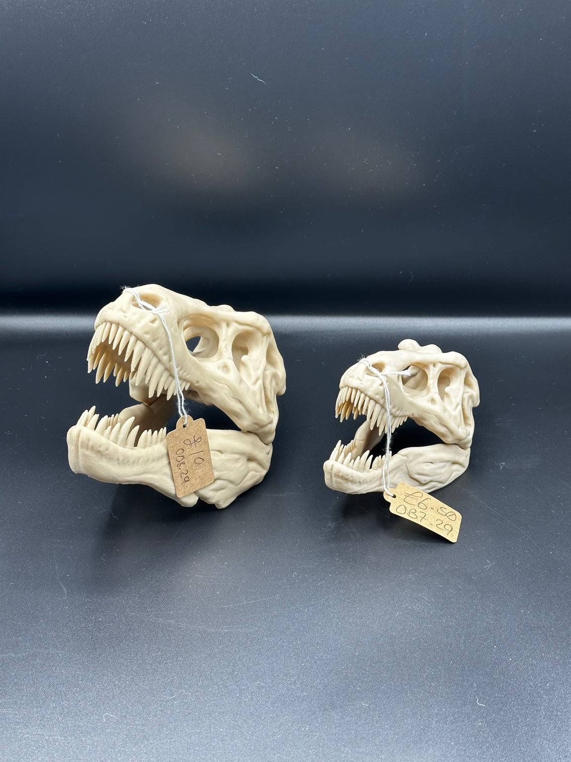 Large and small T-Rex skull ornaments shown together for scale