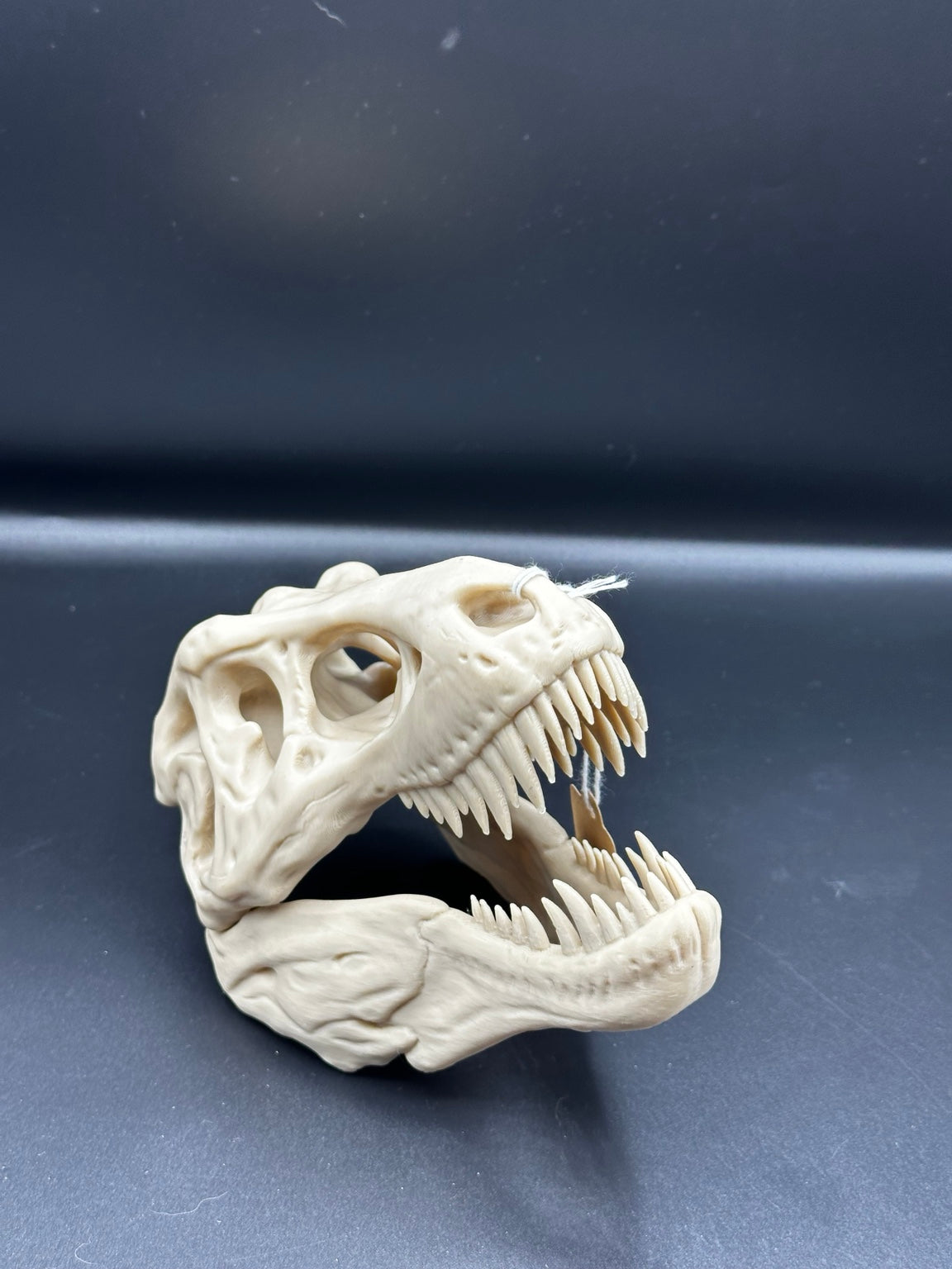 Large 3D-printed T-Rex skull ornament with open jaw