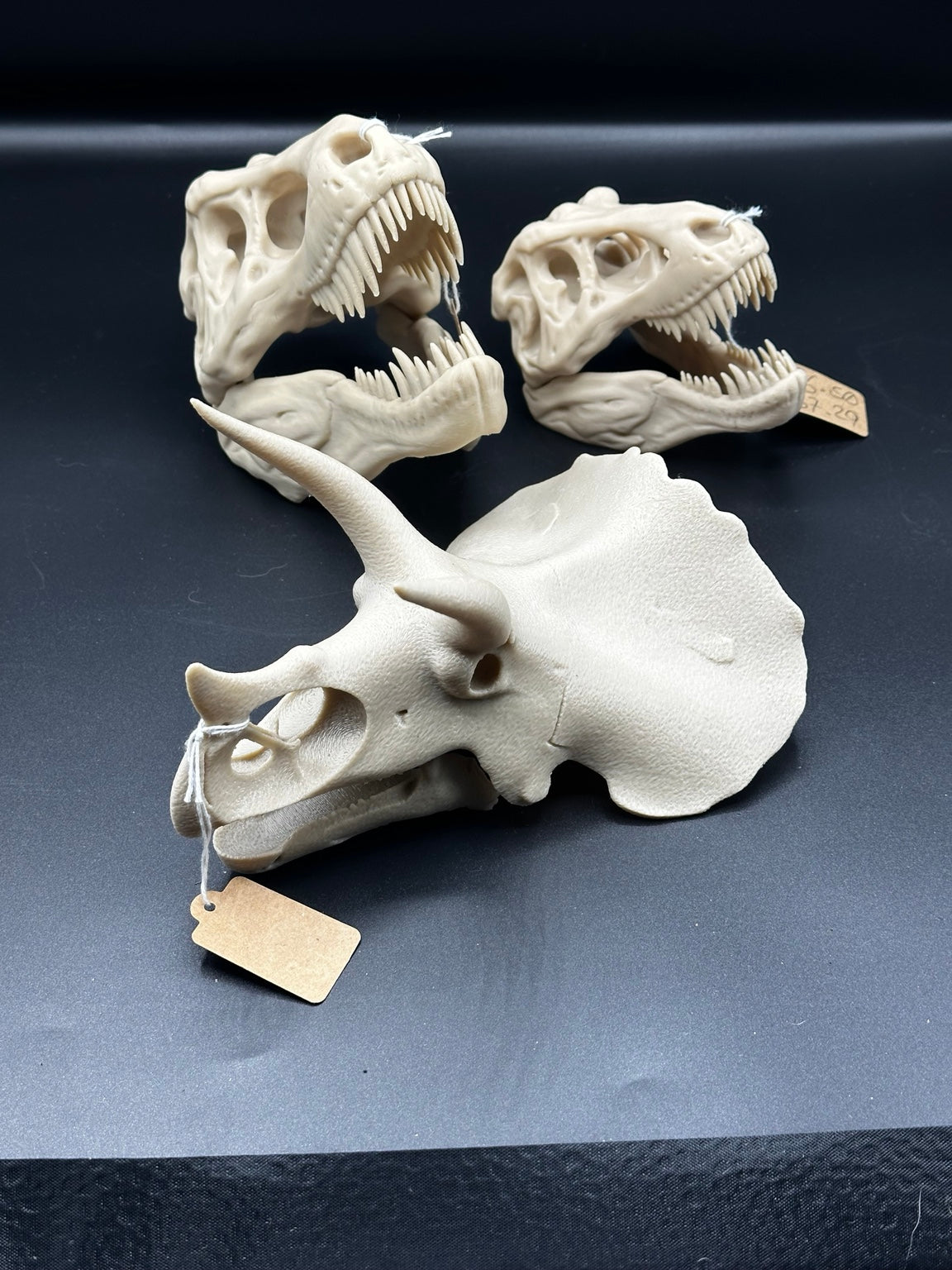 Triceratops skull ornament with two T-Rex skull ornaments for scale