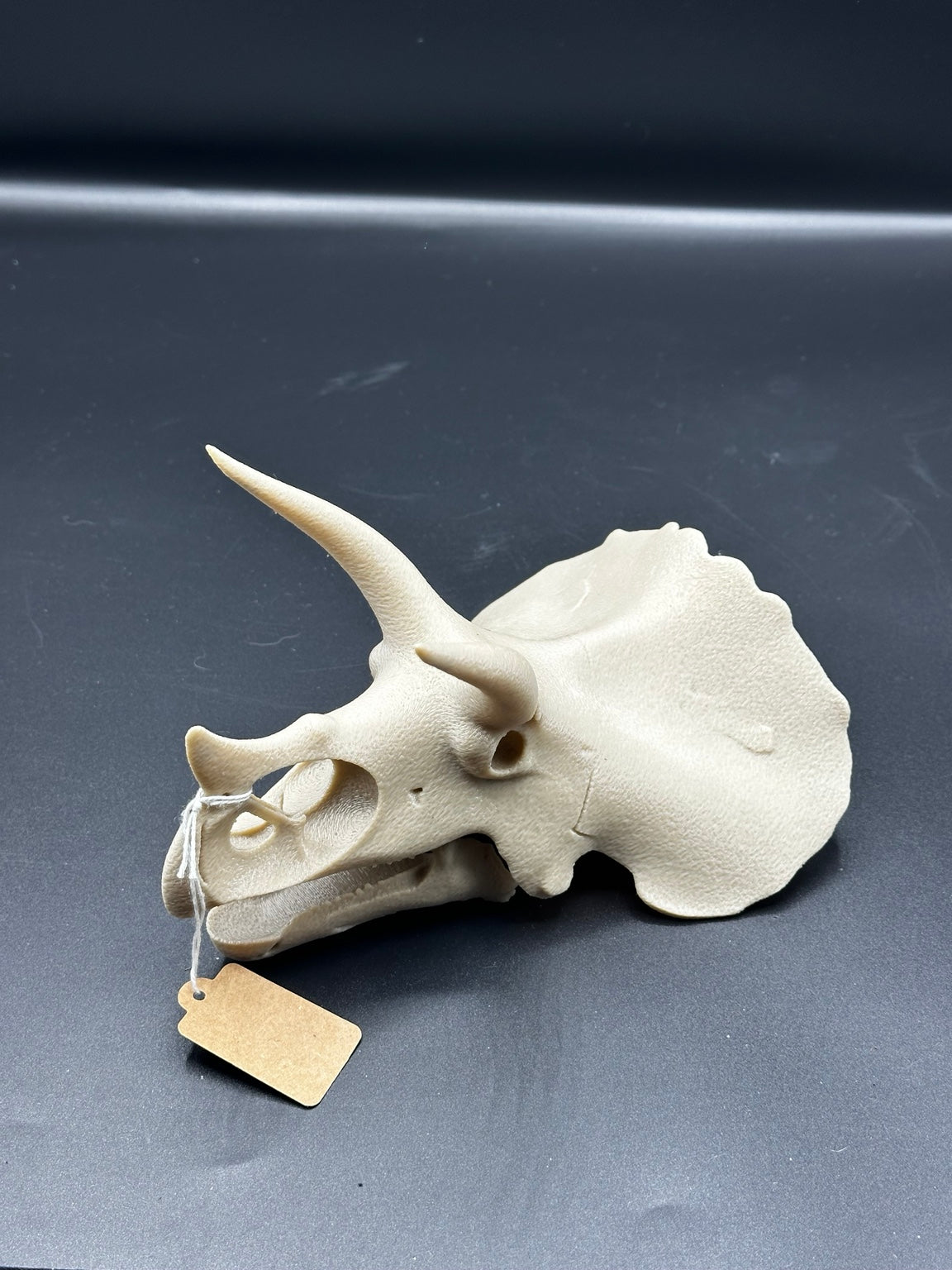 3D-printed Triceratops skull ornament with horns and frill